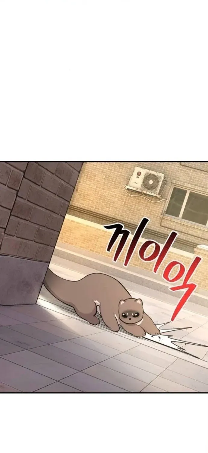 Read Hello, Fluffy Griffin! chapter 36 image 34 on Lezhin
