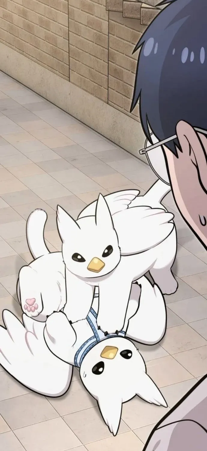 Read Hello, Fluffy Griffin! chapter 36 image 44 on Lezhin