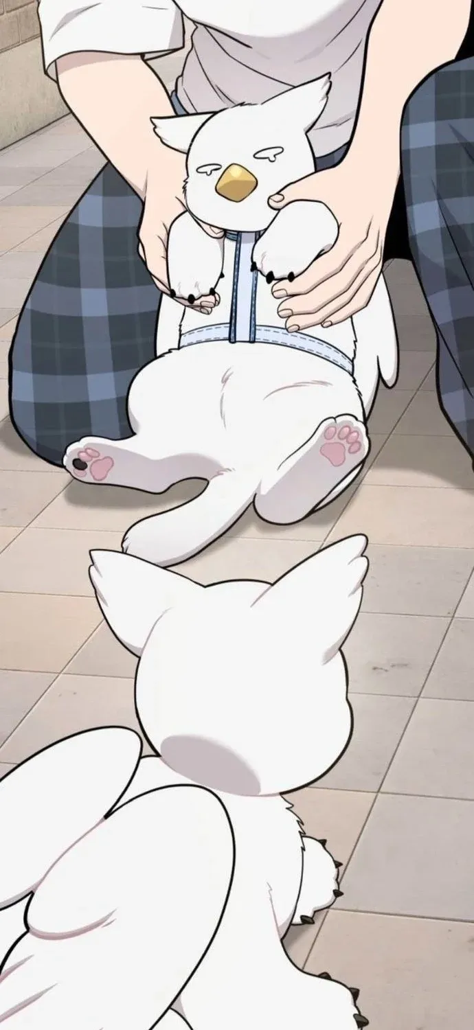 Read Hello, Fluffy Griffin! chapter 36 image 48 on Lezhin