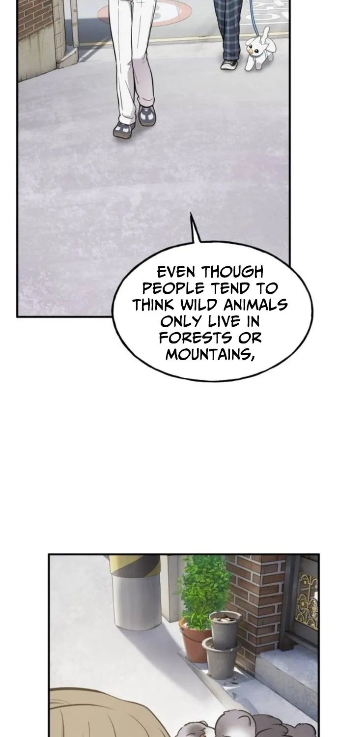 Read Hello, Fluffy Griffin! chapter 37 image 10 on Lezhin