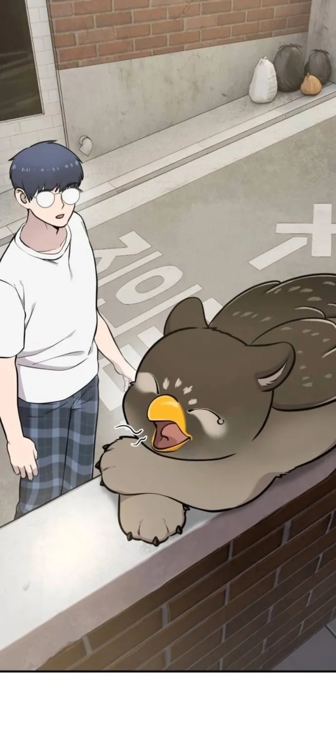 Read Hello, Fluffy Griffin! chapter 37 image 5 on Lezhin