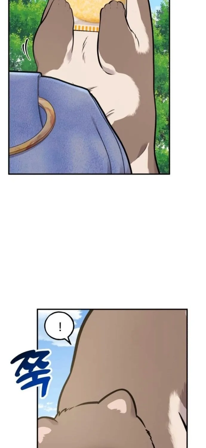 Read Hello, Fluffy Griffin! chapter 37 image 76 on Lezhin