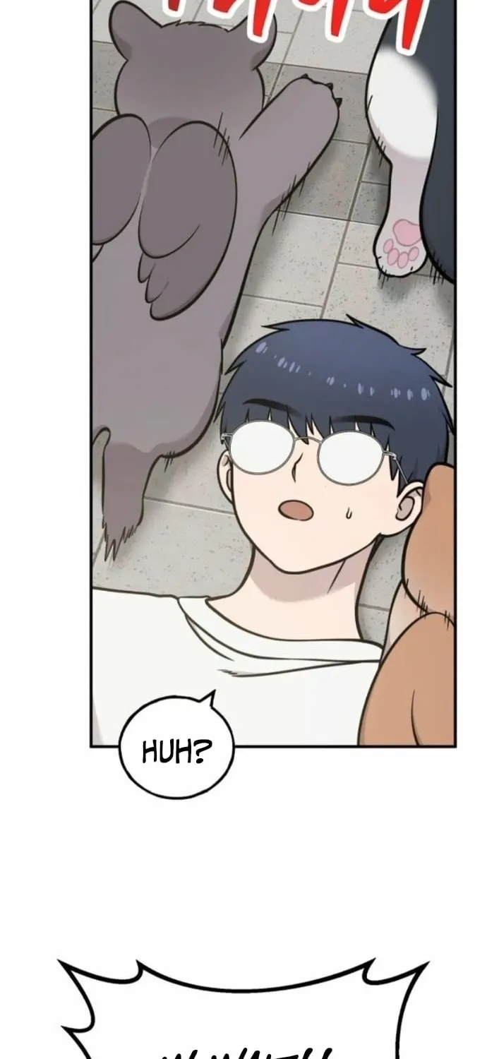 Read Hello, Fluffy Griffin! chapter 38 image 17 on Lezhin