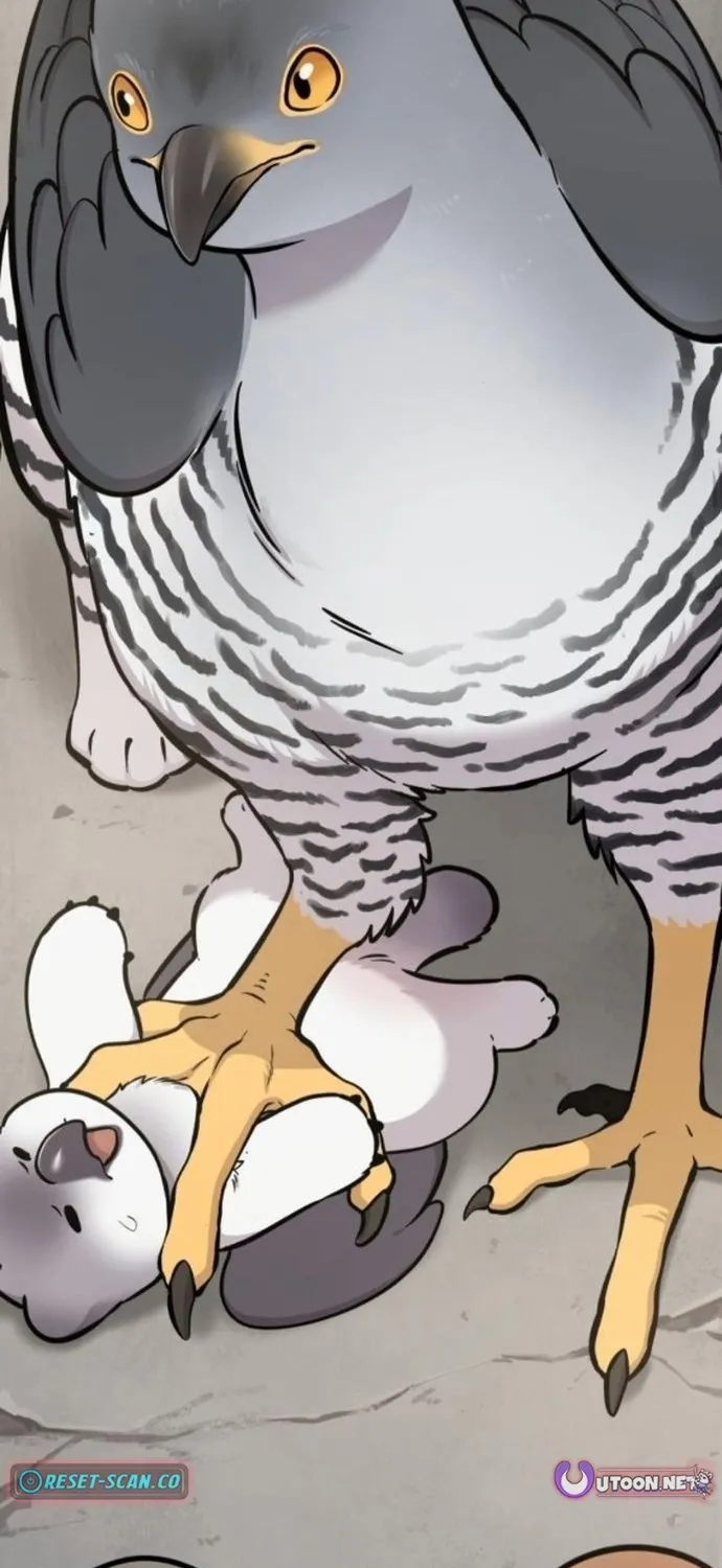 Read Hello, Fluffy Griffin! chapter 38 image 92 on Lezhin