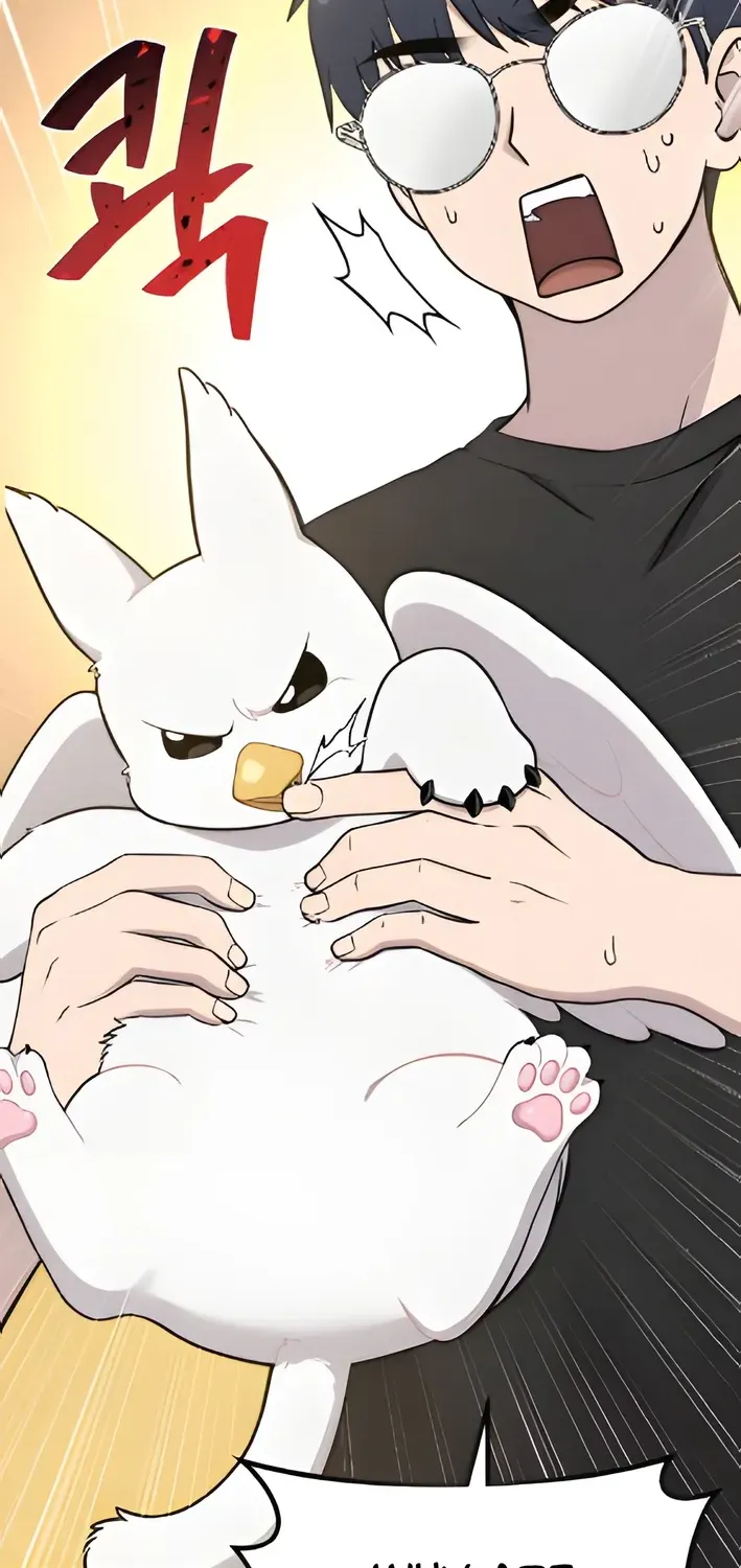 Read Hello, Fluffy Griffin! chapter 4 image 17 on Lezhin