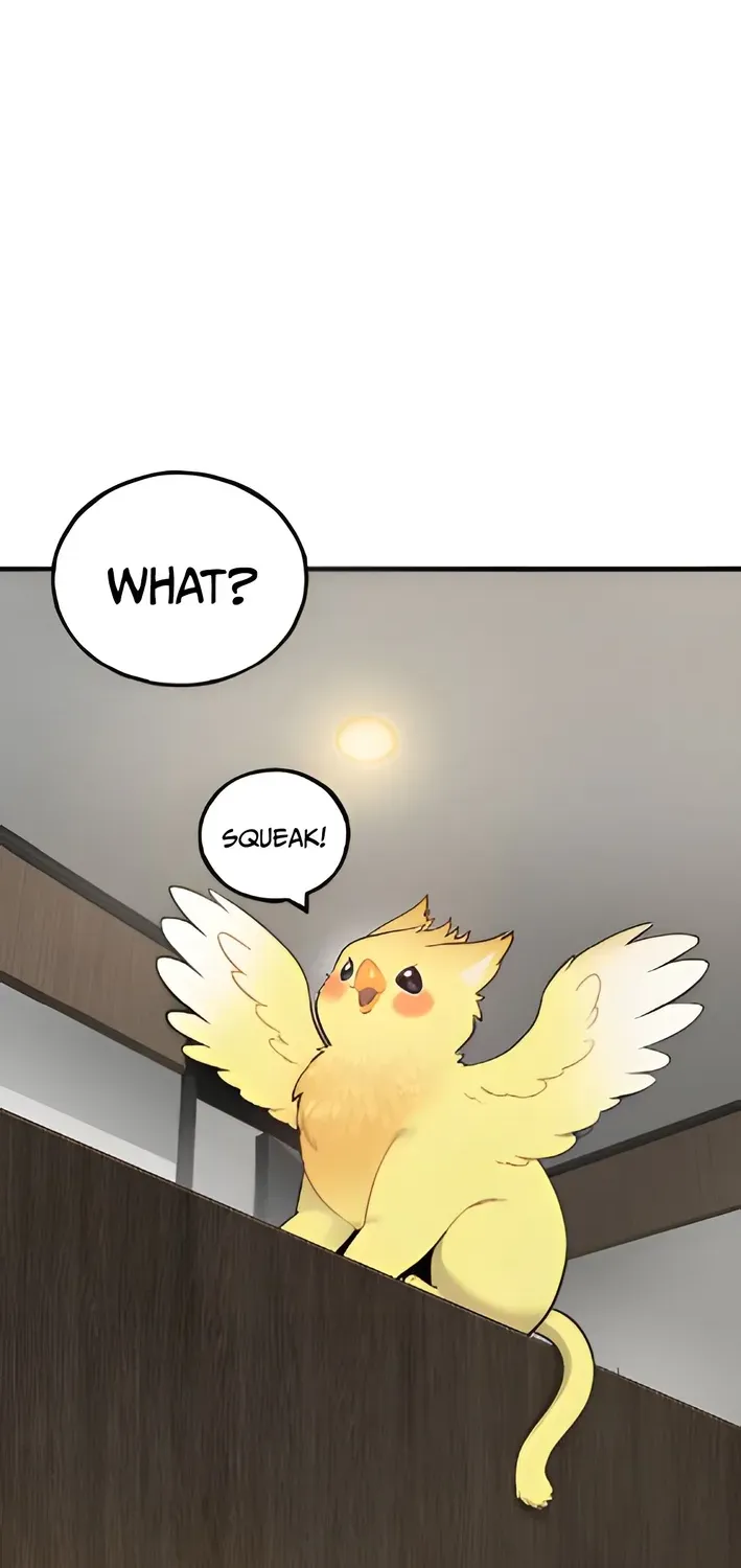 Read Hello, Fluffy Griffin! chapter 4 image 19 on Lezhin