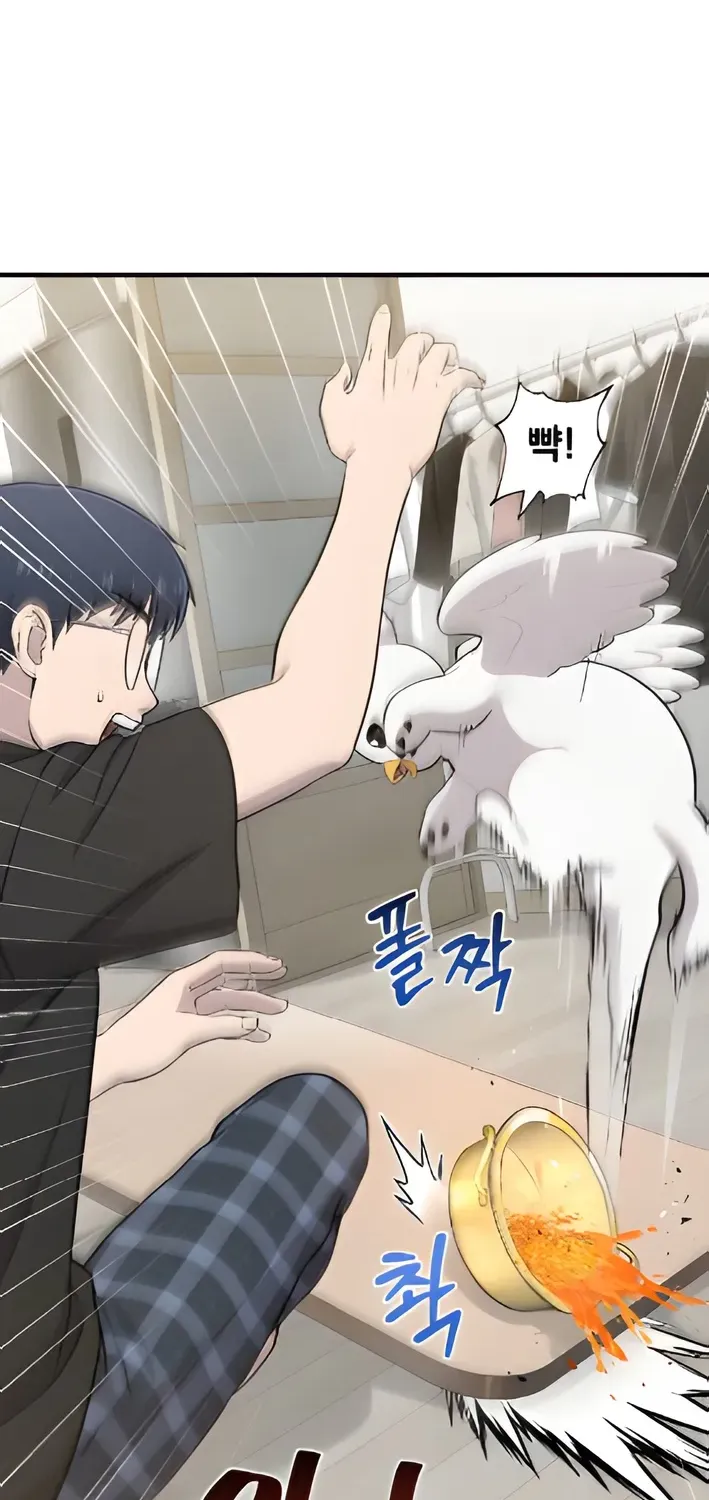 Read Hello, Fluffy Griffin! chapter 4 image 57 on Lezhin