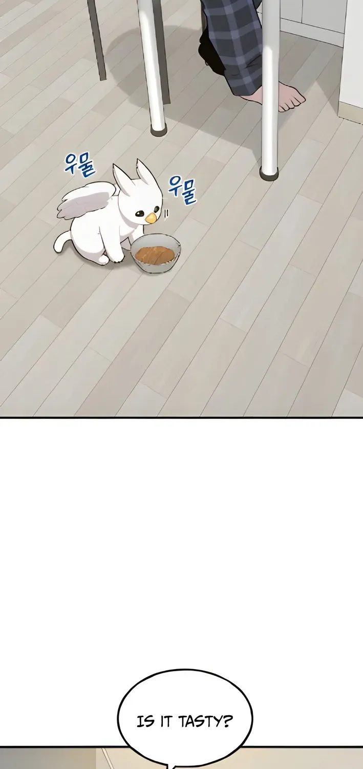 Read Hello, Fluffy Griffin! chapter 4 image 71 on Lezhin