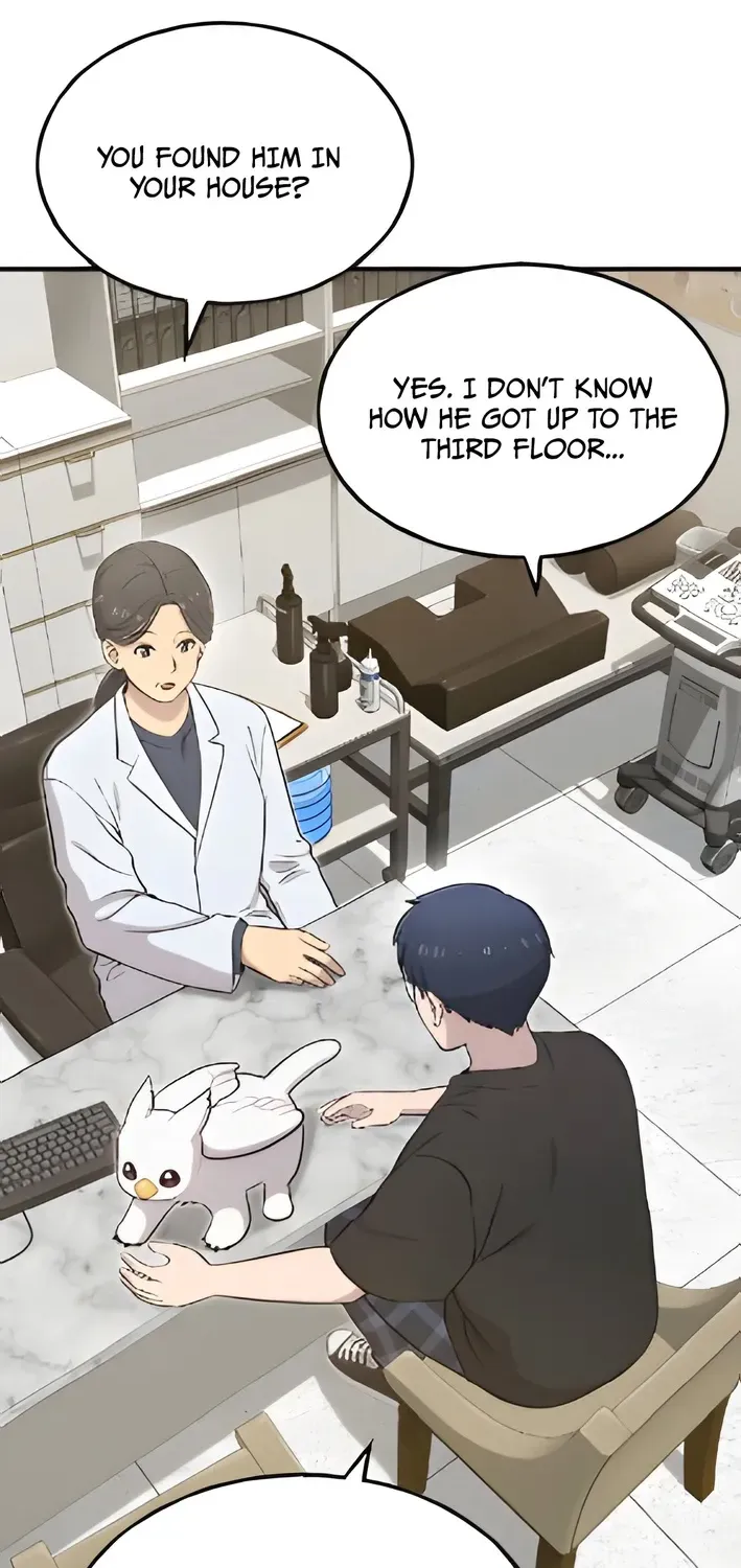 Read Hello, Fluffy Griffin! chapter 4 image 8 on Lezhin