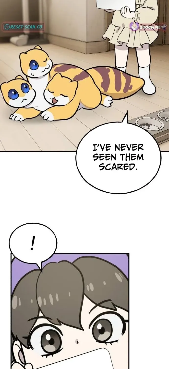 Read Hello, Fluffy Griffin! chapter 40 image 101 on Lezhin
