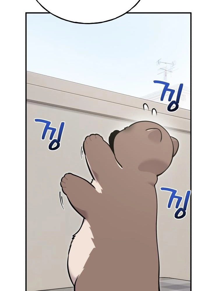 Read Hello, Fluffy Griffin! chapter 47 image 108 on Lezhin