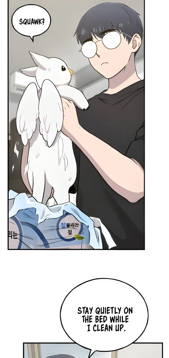 Read Hello, Fluffy Griffin! chapter 5 image 56 on Lezhin