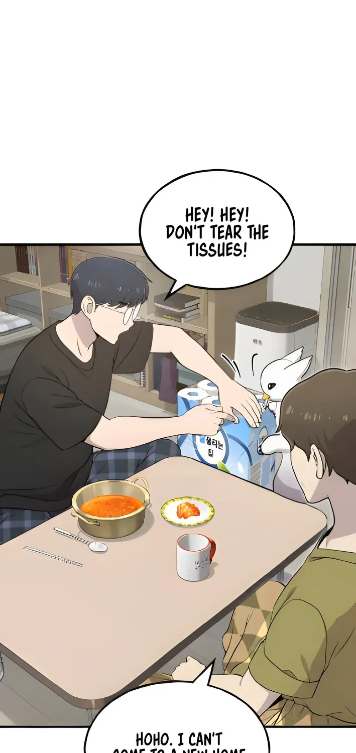 Read Hello, Fluffy Griffin! chapter 5 image 7 on Lezhin