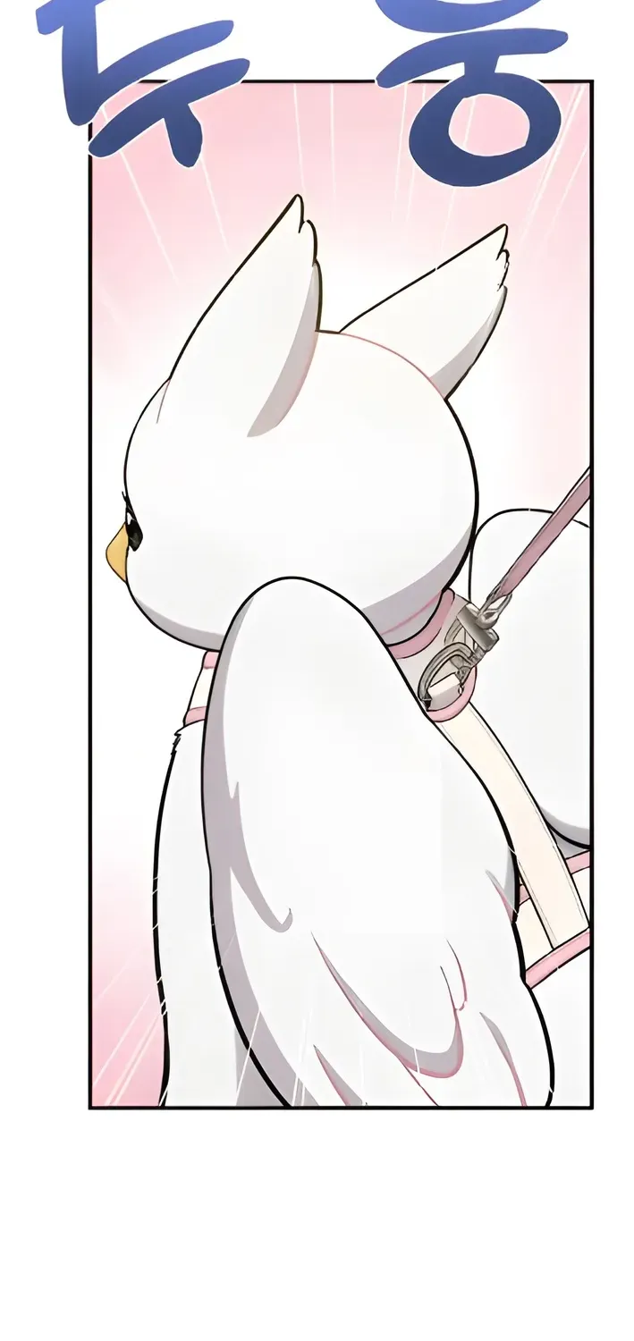 Read Hello, Fluffy Griffin! chapter 5 image 80 on Lezhin