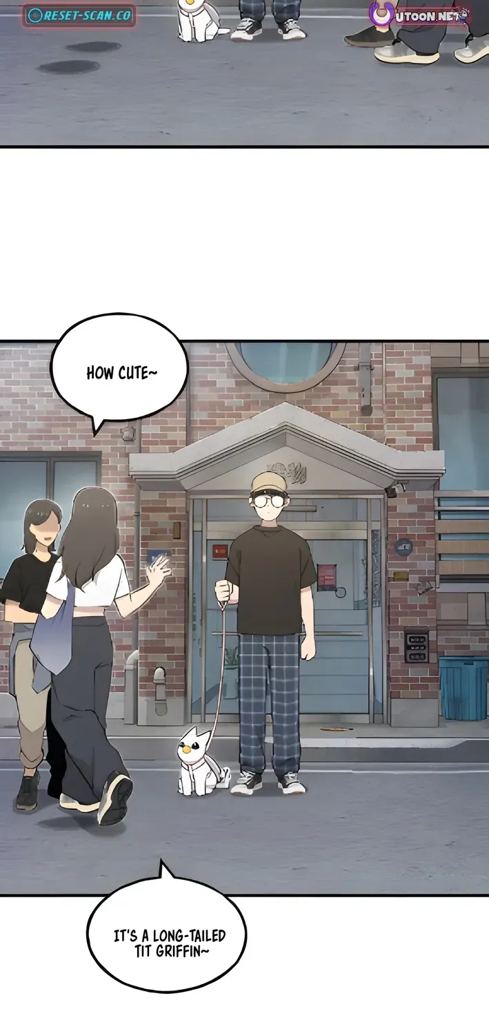 Read Hello, Fluffy Griffin! chapter 6 image 10 on Lezhin
