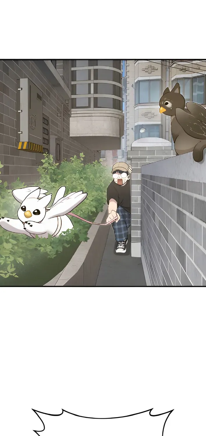 Read Hello, Fluffy Griffin! chapter 6 image 25 on Lezhin