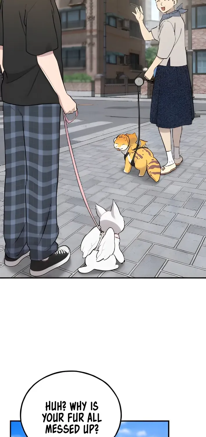 Read Hello, Fluffy Griffin! chapter 6 image 38 on Lezhin