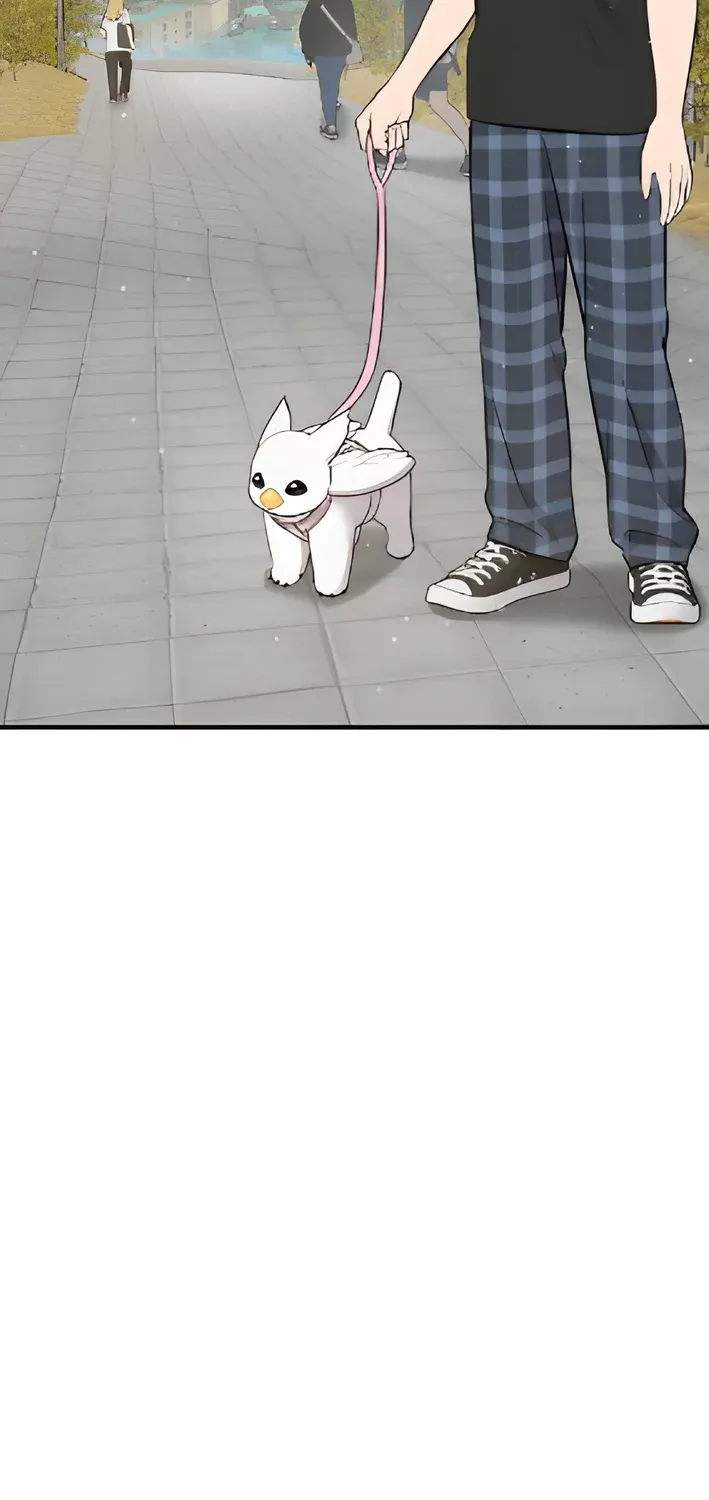Read Hello, Fluffy Griffin! chapter 6 image 44 on Lezhin