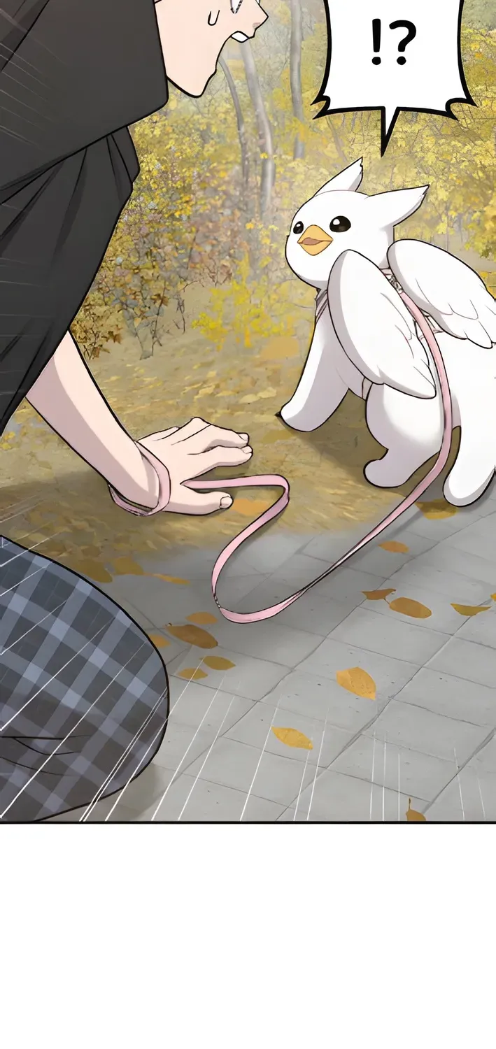 Read Hello, Fluffy Griffin! chapter 6 image 53 on Lezhin