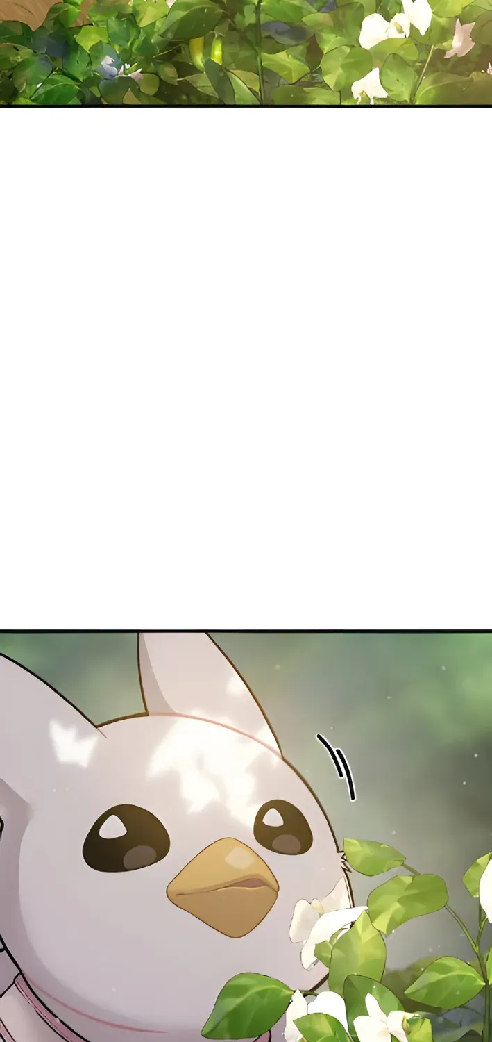 Read Hello, Fluffy Griffin! chapter 6 image 72 on Lezhin