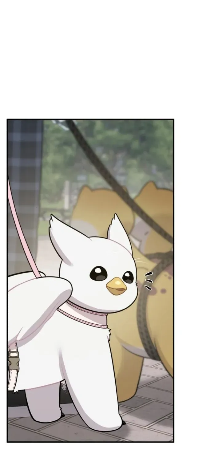 Read Hello, Fluffy Griffin! chapter 7 image 25 on Lezhin