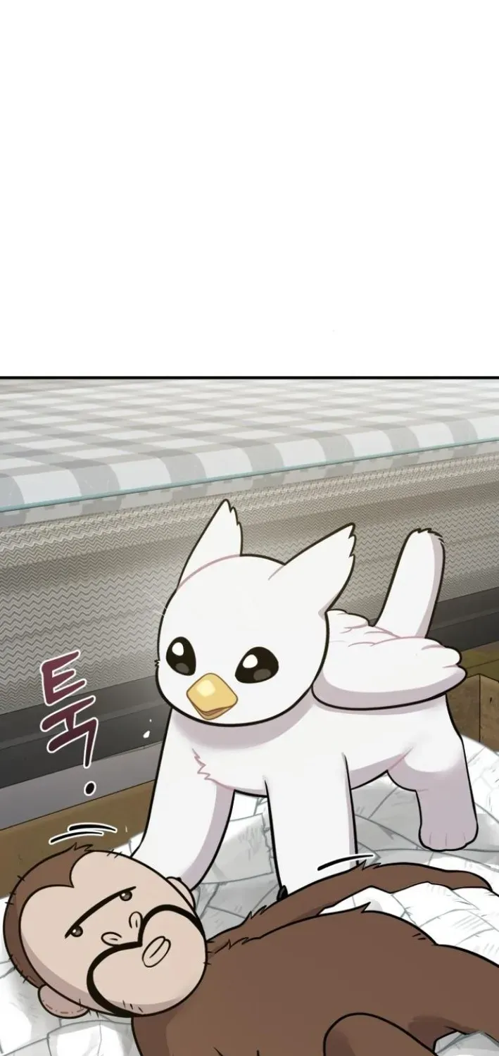 Read Hello, Fluffy Griffin! chapter 7 image 74 on Lezhin