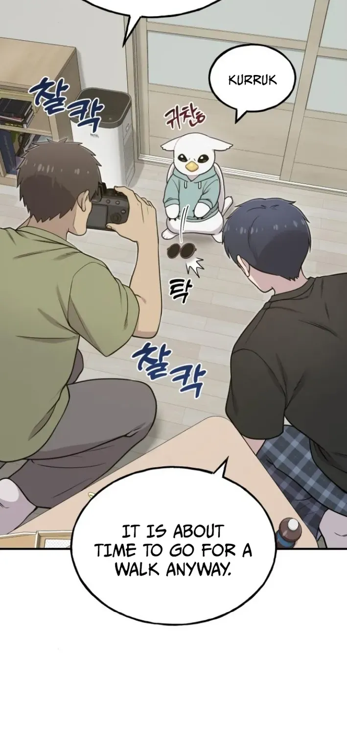 Read Hello, Fluffy Griffin! chapter 8 image 72 on Lezhin