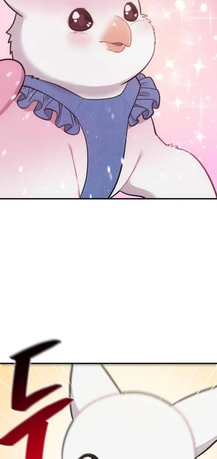 Read Hello, Fluffy Griffin! chapter 8 image 81 on Lezhin