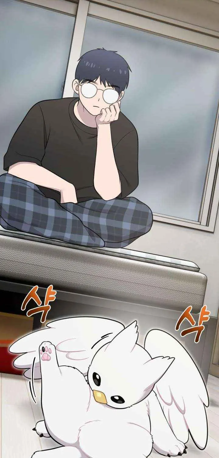 Read Hello, Griffin the Fluffy Bird! chapter 13 image 47 on Lezhin