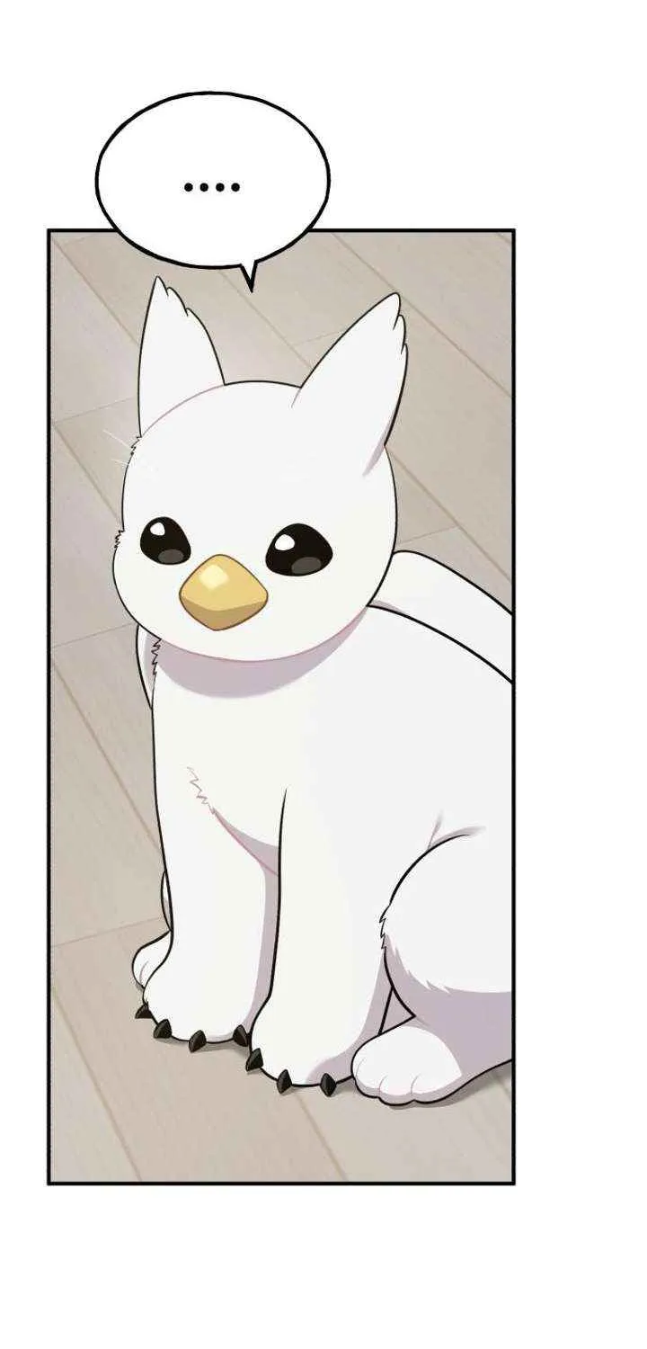 Read Hello, Griffin the Fluffy Bird! chapter 13 image 53 on Lezhin
