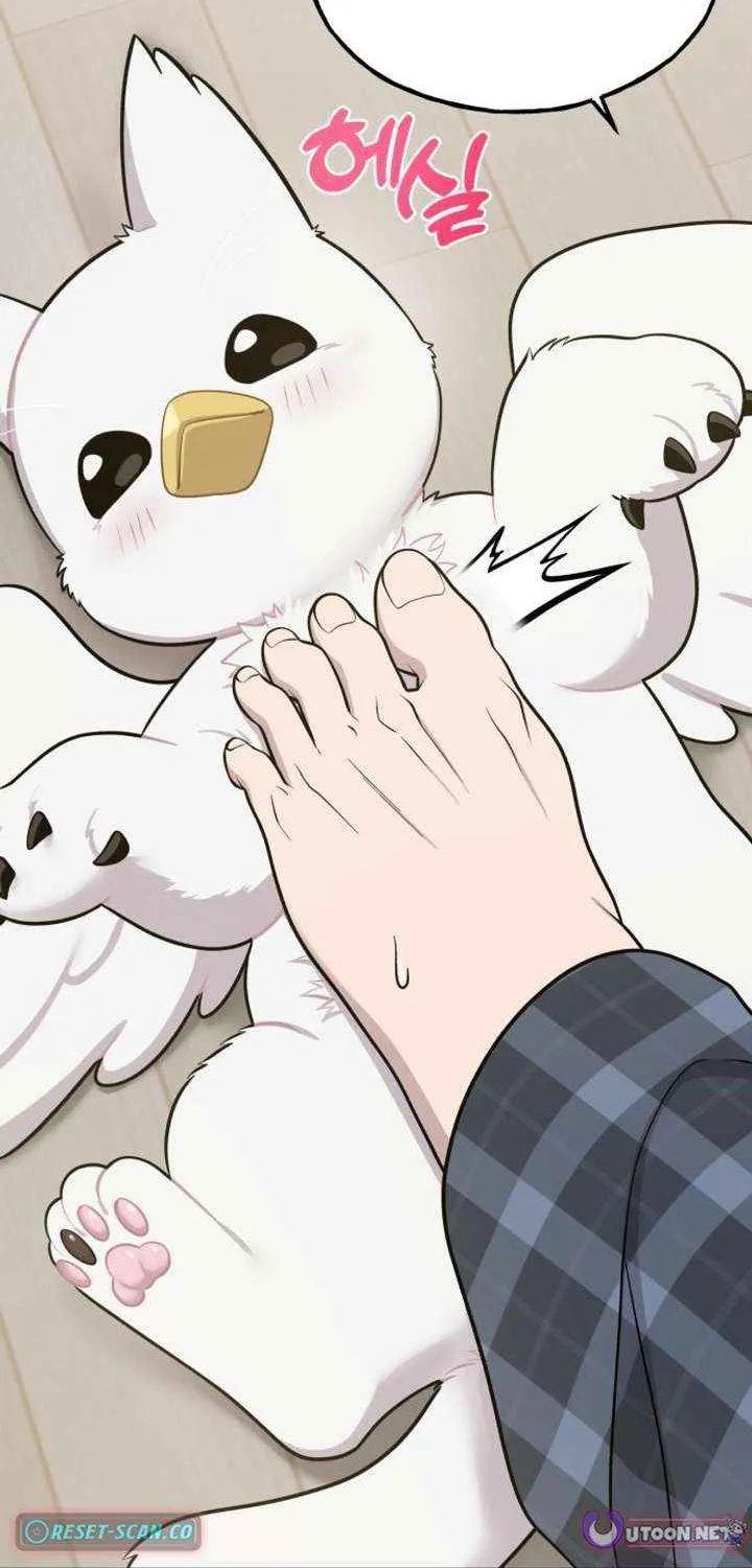 Read Hello, Griffin the Fluffy Bird! chapter 13 image 57 on Lezhin