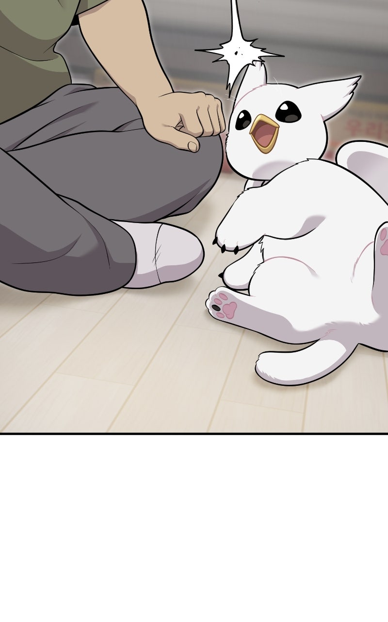 Read Hello, Little Griffin! chapter 16 image 39 on Lezhin