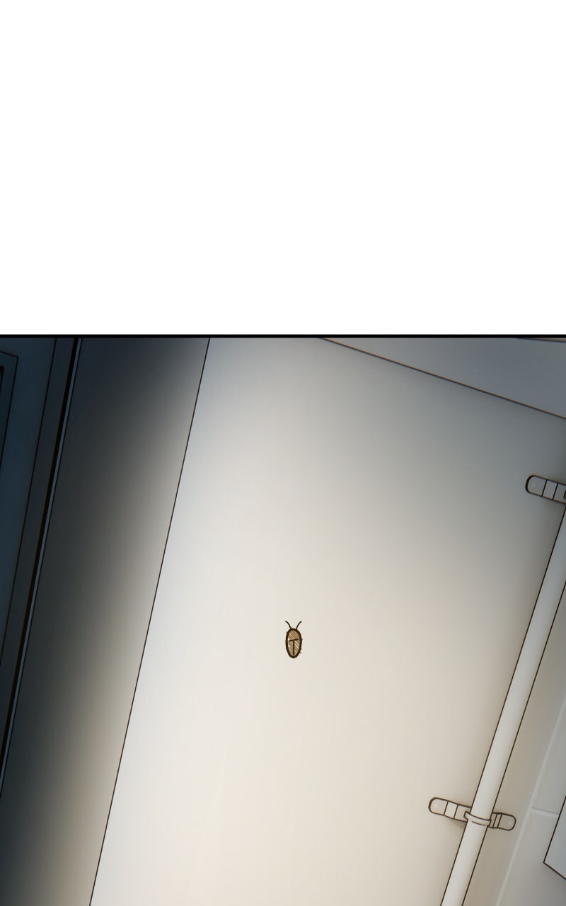 Read Hello, Little Griffin! chapter 16 image 48 on Lezhin