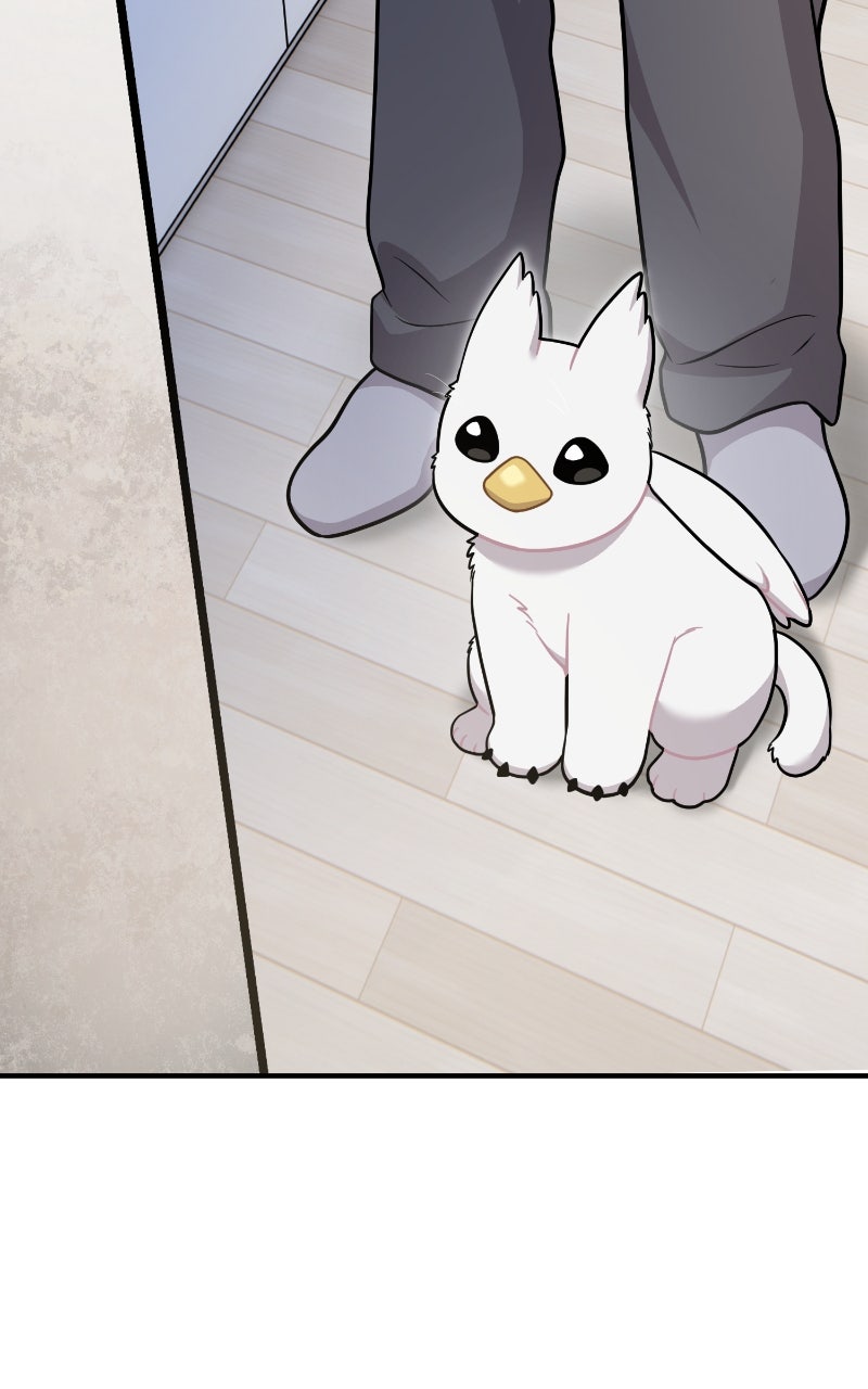 Read Hello, Little Griffin! chapter 16 image 56 on Lezhin