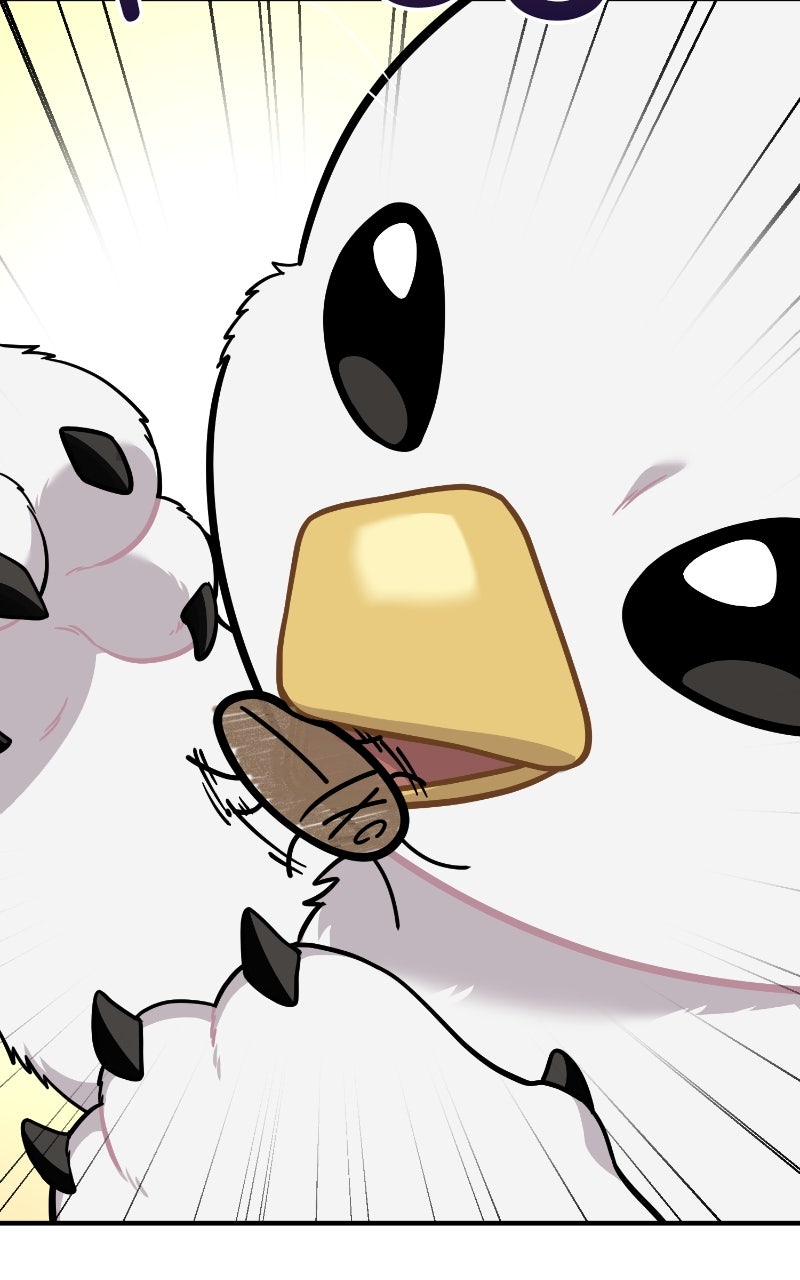 Read Hello, Little Griffin! chapter 16 image 68 on Lezhin