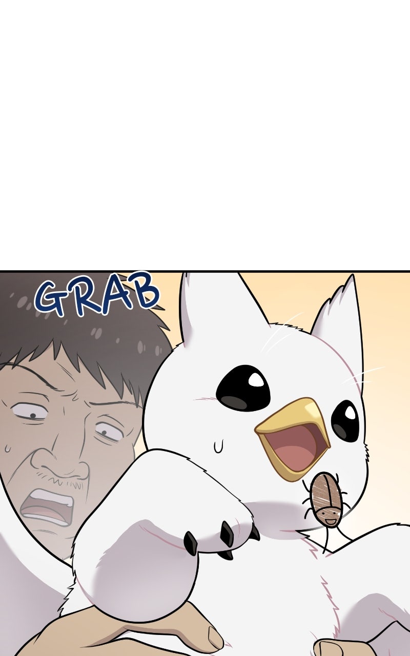 Read Hello, Little Griffin! chapter 16 image 83 on Lezhin