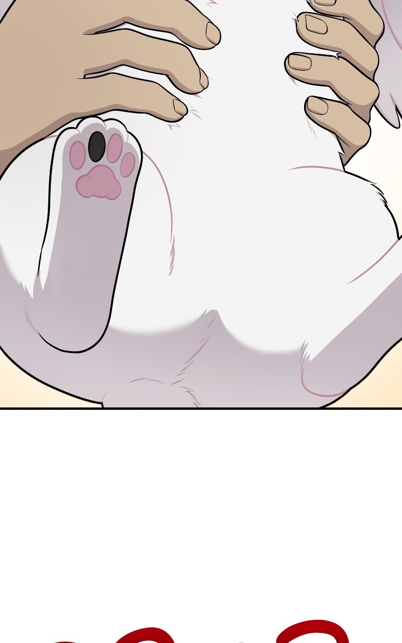 Read Hello, Little Griffin! chapter 16 image 84 on Lezhin