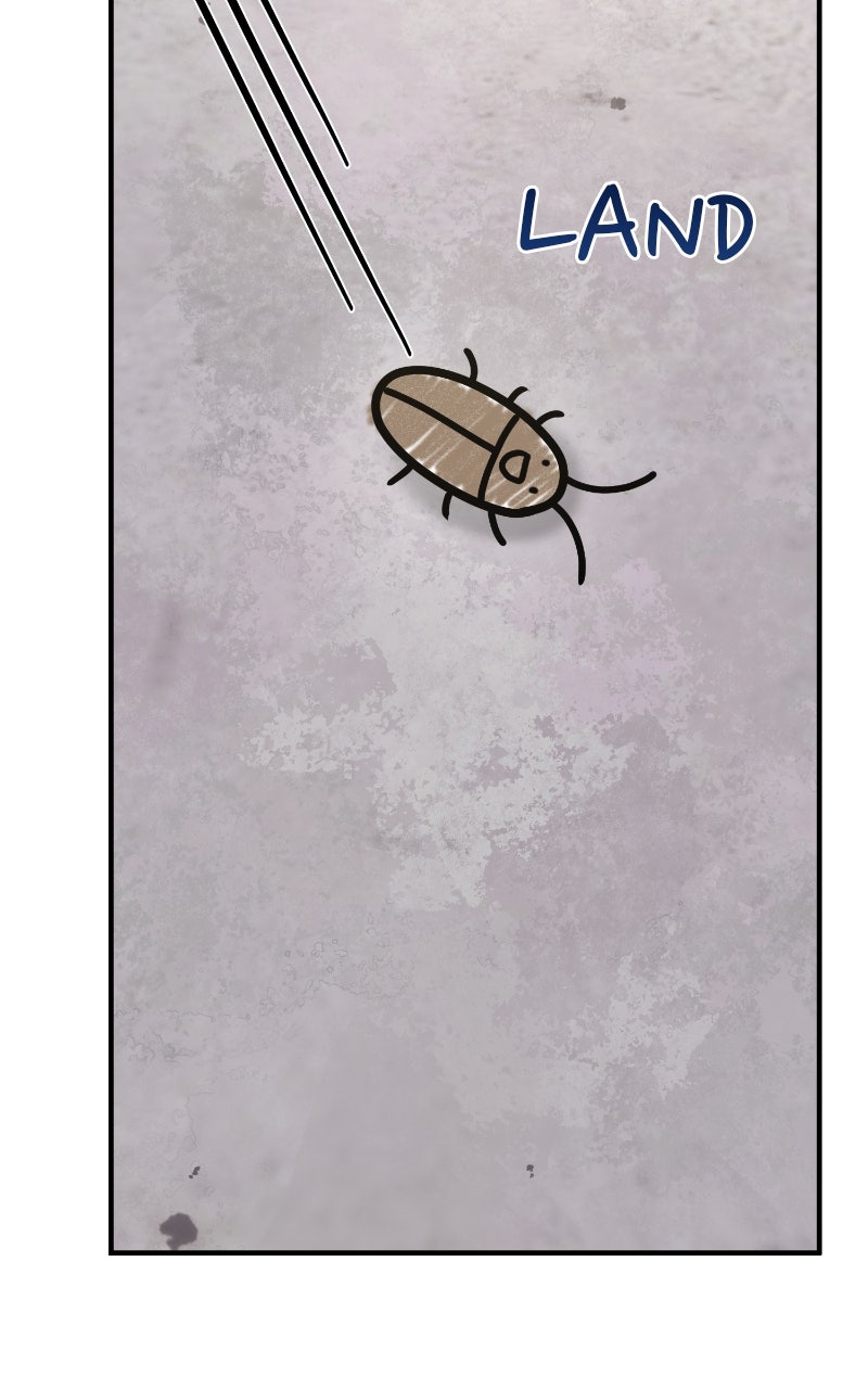 Read Hello, Little Griffin! chapter 16 image 90 on Lezhin
