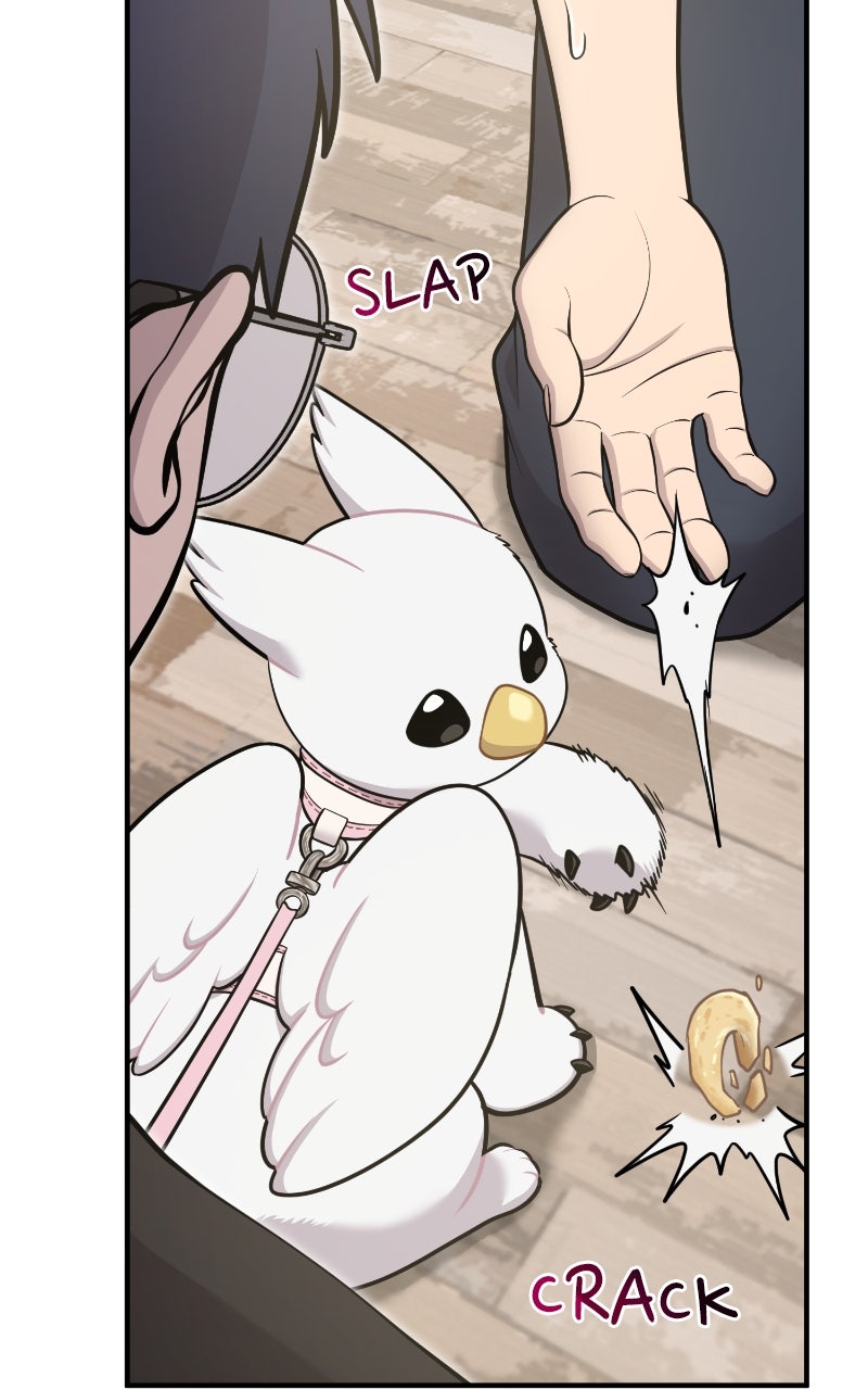 Read Hello, Little Griffin! chapter 18 image 11 on Lezhin