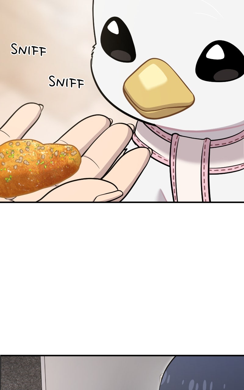 Read Hello, Little Griffin! chapter 18 image 2 on Lezhin
