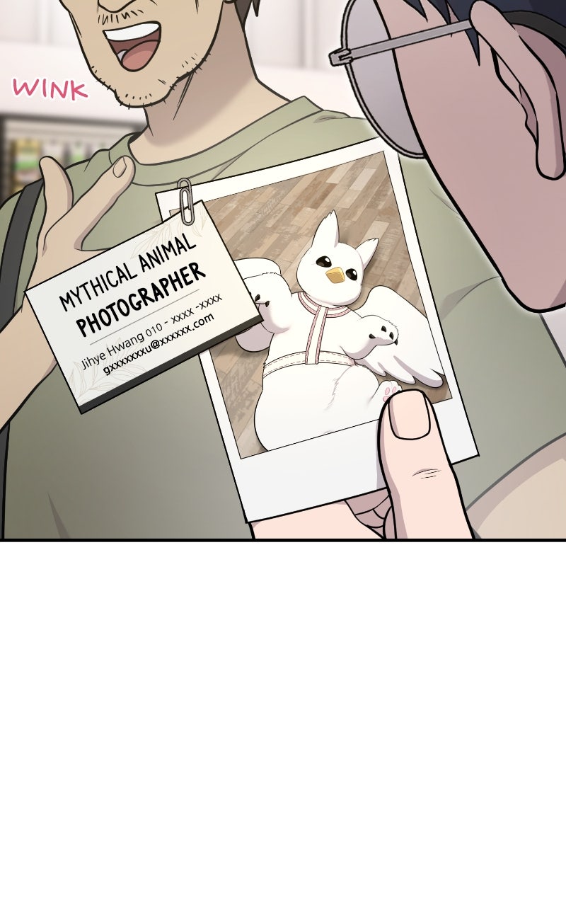 Read Hello, Little Griffin! chapter 18 image 41 on Lezhin