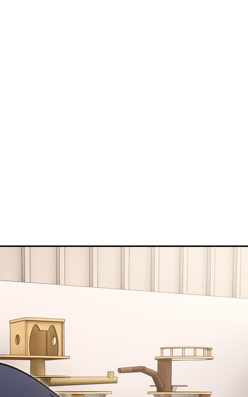Read Hello, Little Griffin! chapter 18 image 50 on Lezhin