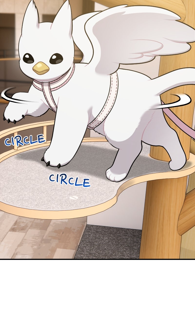 Read Hello, Little Griffin! chapter 18 image 57 on Lezhin