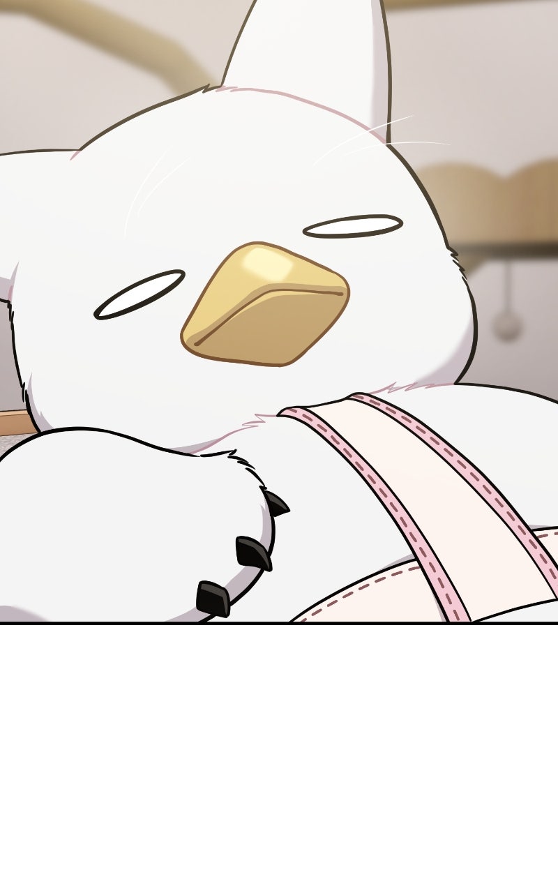 Read Hello, Little Griffin! chapter 18 image 69 on Lezhin