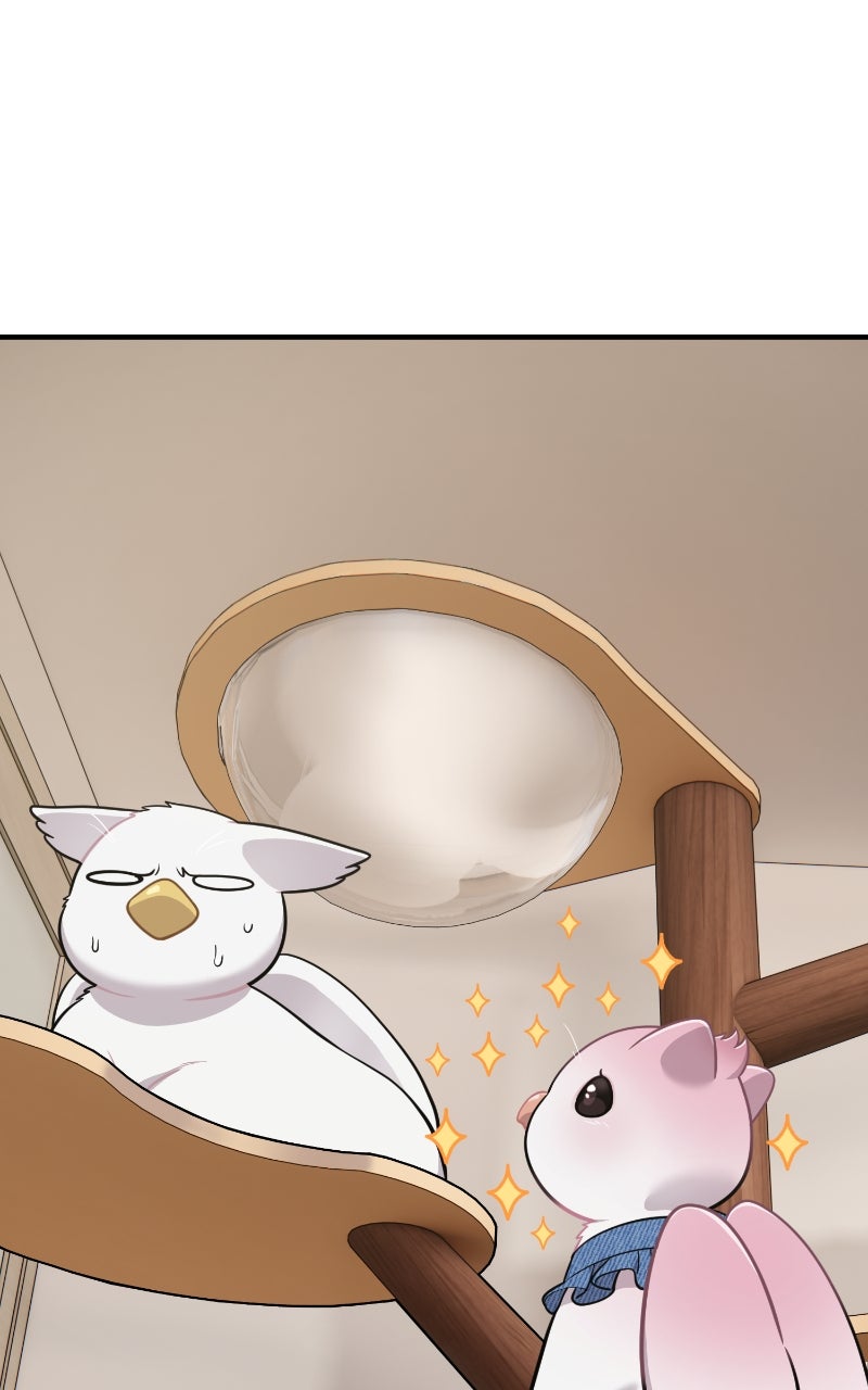 Read Hello, Little Griffin! chapter 18 image 98 on Lezhin
