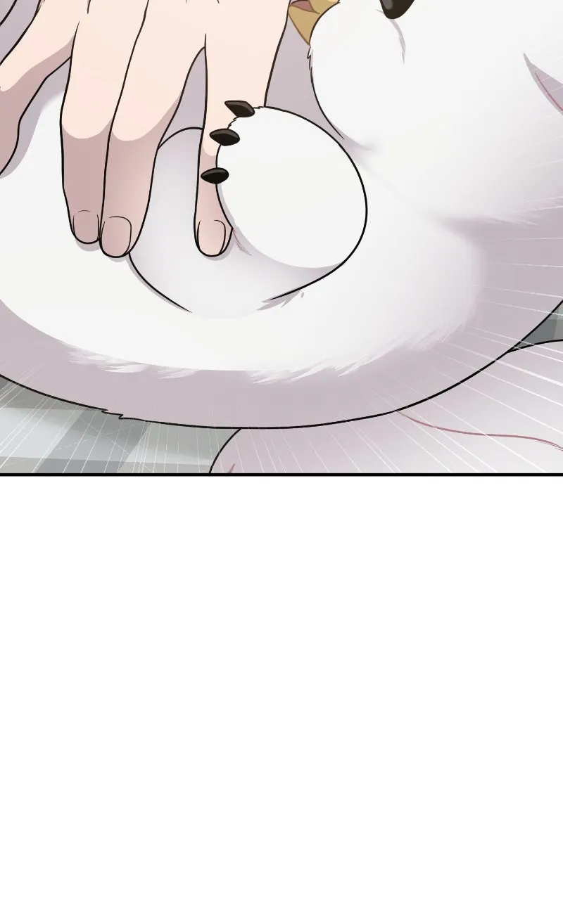 Read Hello, Little Griffin! chapter 2 image 101 on Lezhin