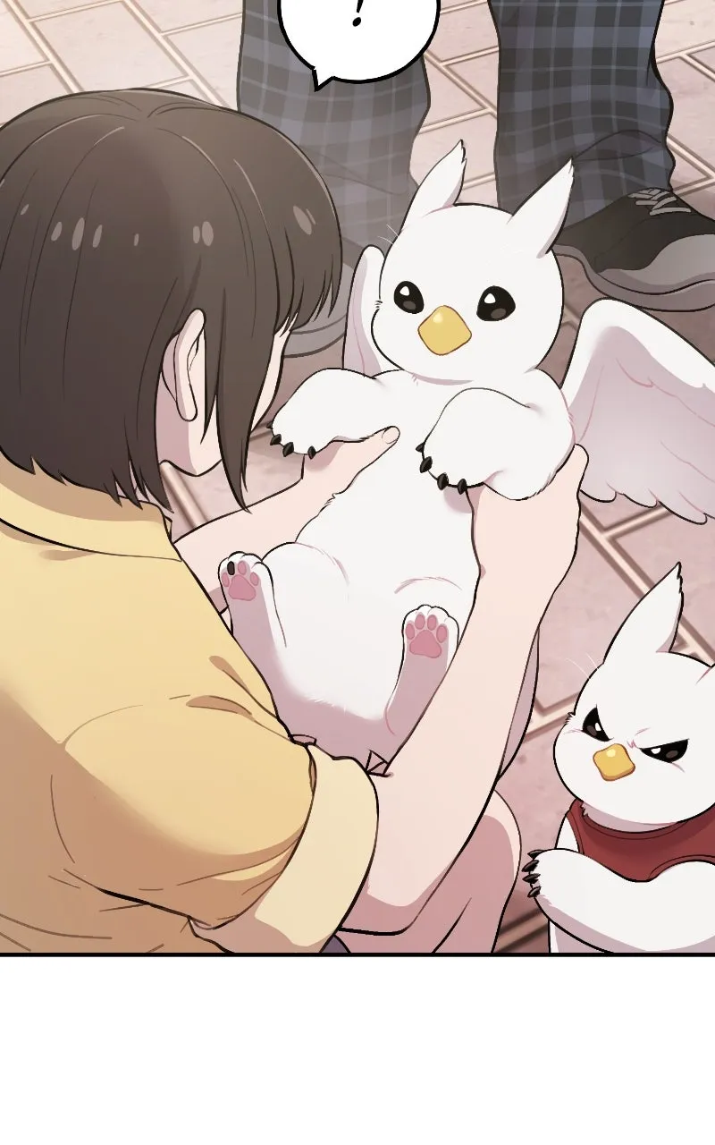 Read Hello, Little Griffin! chapter 2 image 25 on Lezhin
