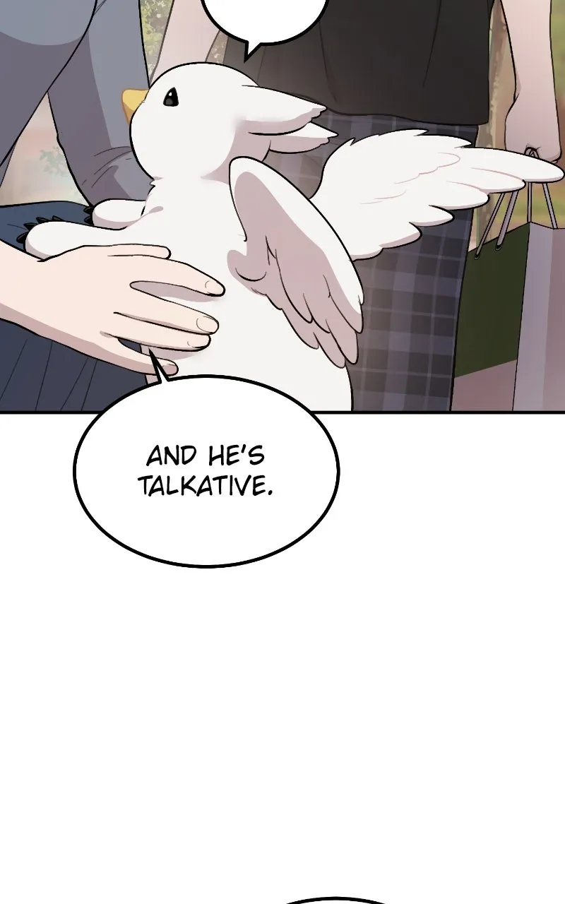 Read Hello, Little Griffin! chapter 2 image 60 on Lezhin