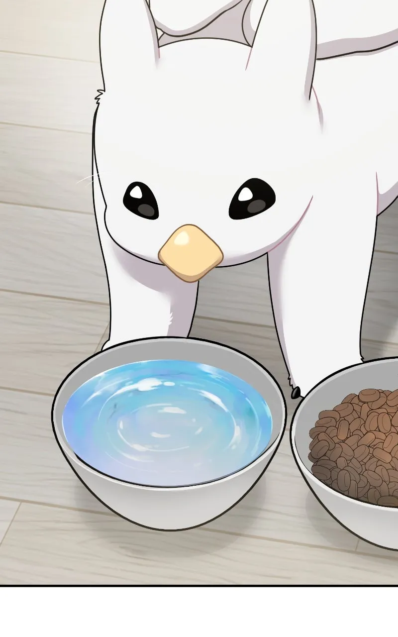 Read Hello, Little Griffin! chapter 2 image 69 on Lezhin