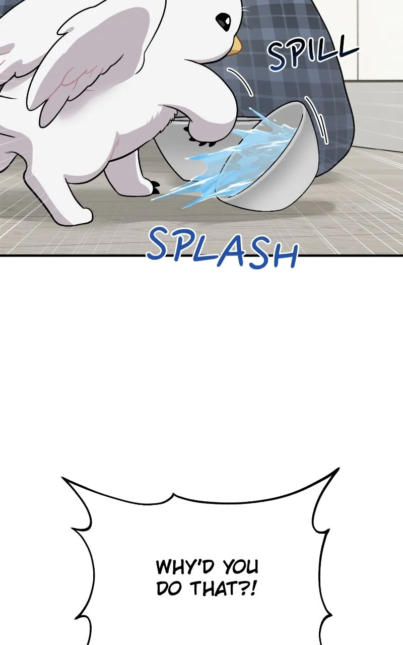 Read Hello, Little Griffin! chapter 2 image 73 on Lezhin